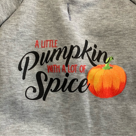 3/$10 Medium Size Dog Puppy Halloween Pumpkin Spice Gray Hooded Sweatshirt NWOT - Picture 3 of 10